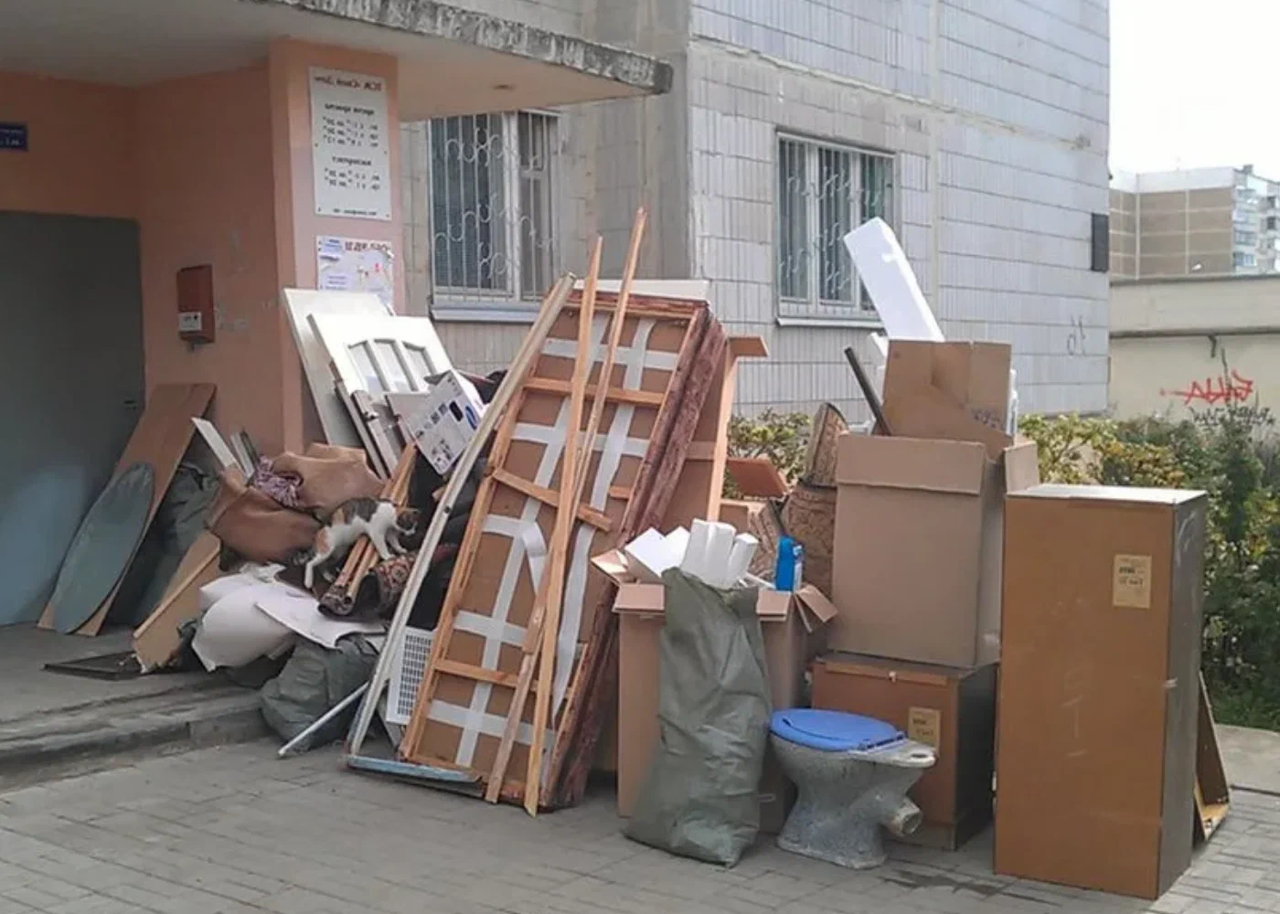 Профессиональный вывоз мусора из квартиры в Изобильном в октябре