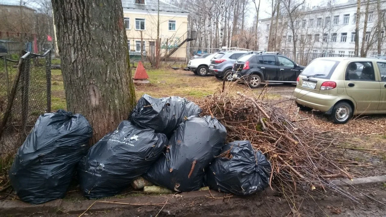 Вывоз мусора после субботника в Изобильном от ПроМусор – уборка и утилизация отходов от 2441 руб