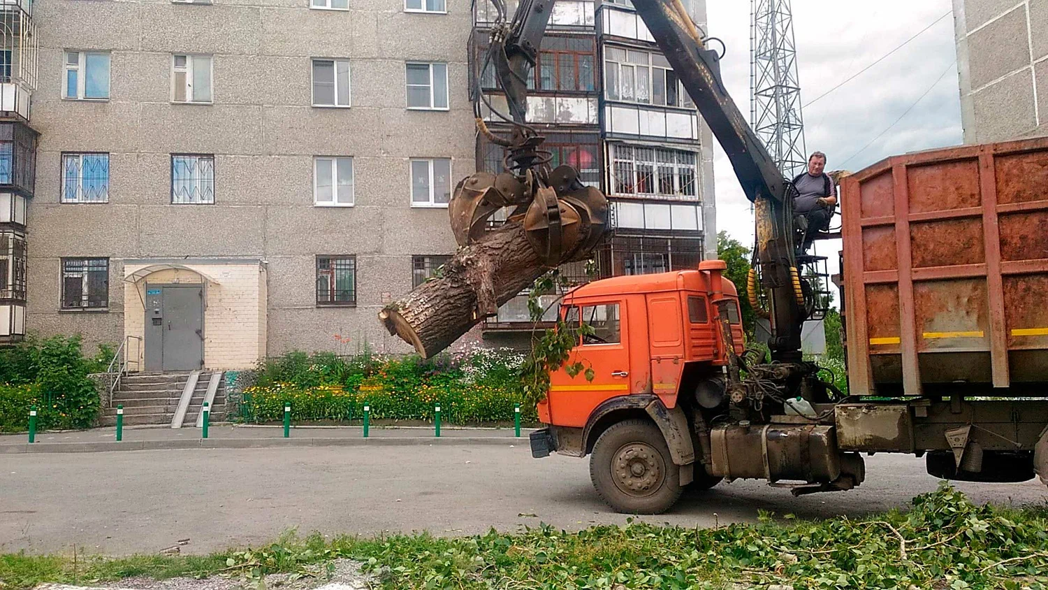 Вывоз спиленных веток и деревьев в Изобильном от ПроМусор: порубочные остатки, утилизация, цена от 3013 руб