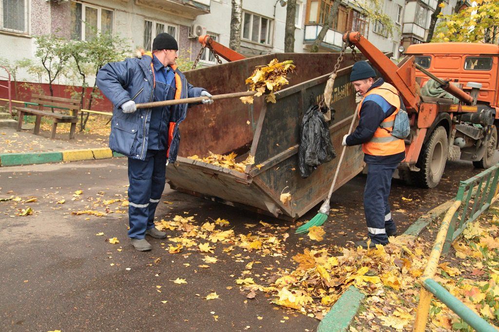 Вывоз опавшей листвы и растительного мусора в Изобильном от ПроМусор – цена от 4675 руб., быстрая уборка и утилизация
